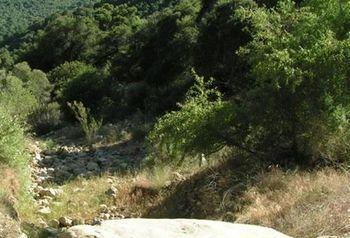 Rancho Oso Rv & Camping Resort Goleta Luaran gambar
